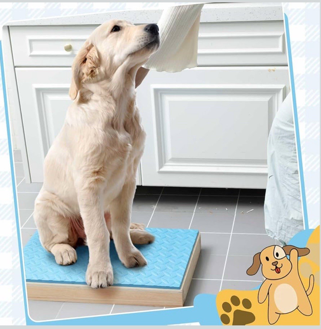Chunful Dog Training Wood Platform NonSkid Surface Place 21.65×13.78×2.36in Blue