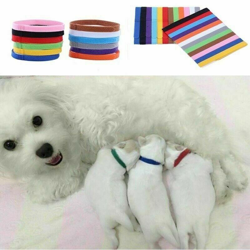 12 Whelping ID Collars Newborn Puppy & Kitten Identification Bands Breeder Nylon