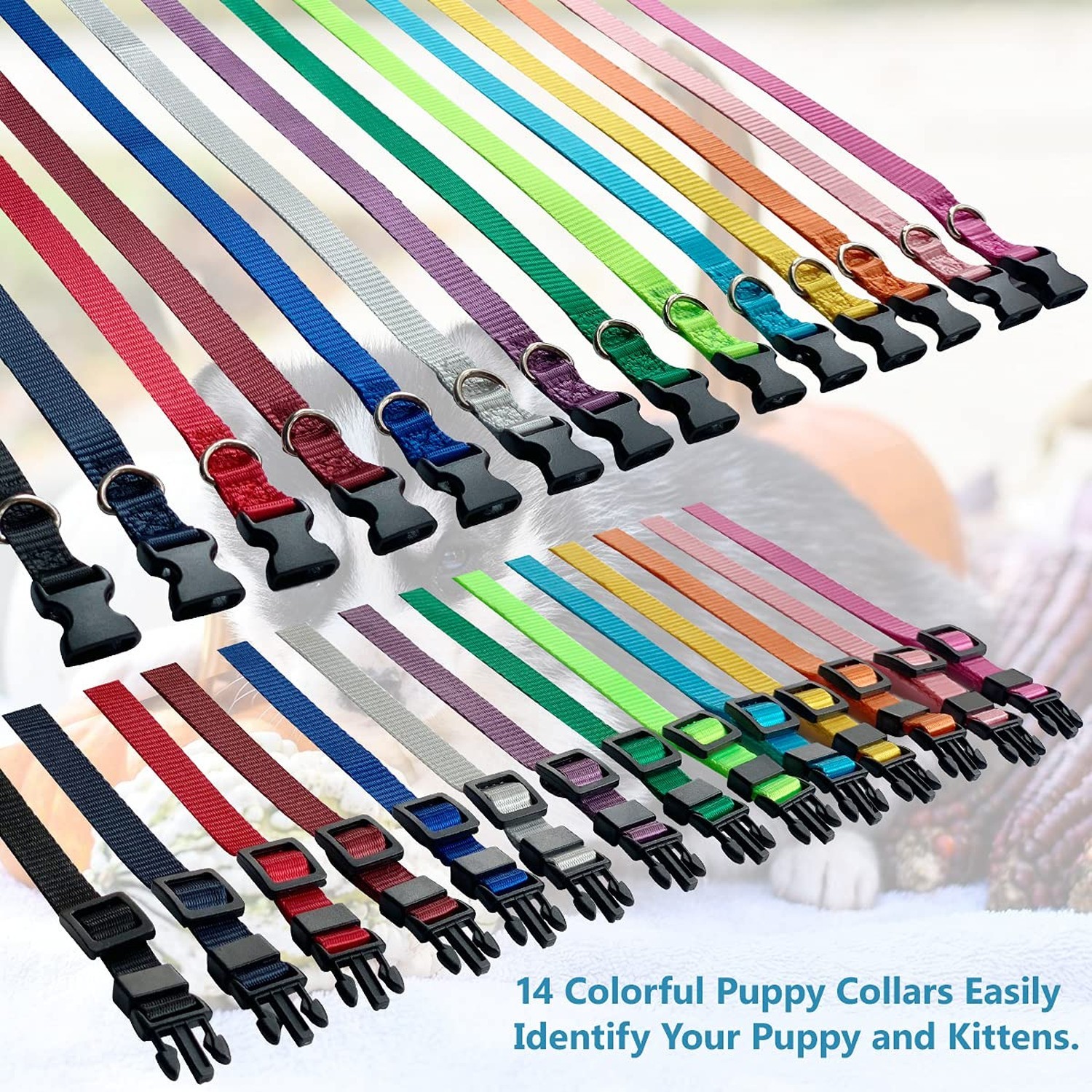 Puppy ID Collar – Identification Adjustable Collars for Newborn Dog Cat, Supe…