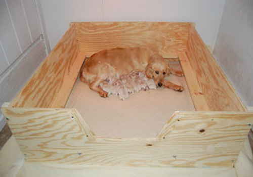 Whelping Box HEAVY DUTY w/FLOOR,XL,Xlarge 5’x4′ w/RAILS+LINER Dog,Puppy,Pen