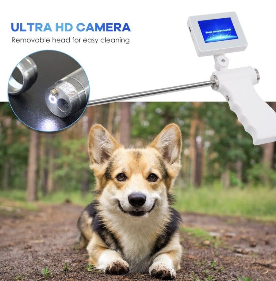 Visual Artificial Dog Insemination Gun Kit 5MP Camera +20x Insemination Tubes US