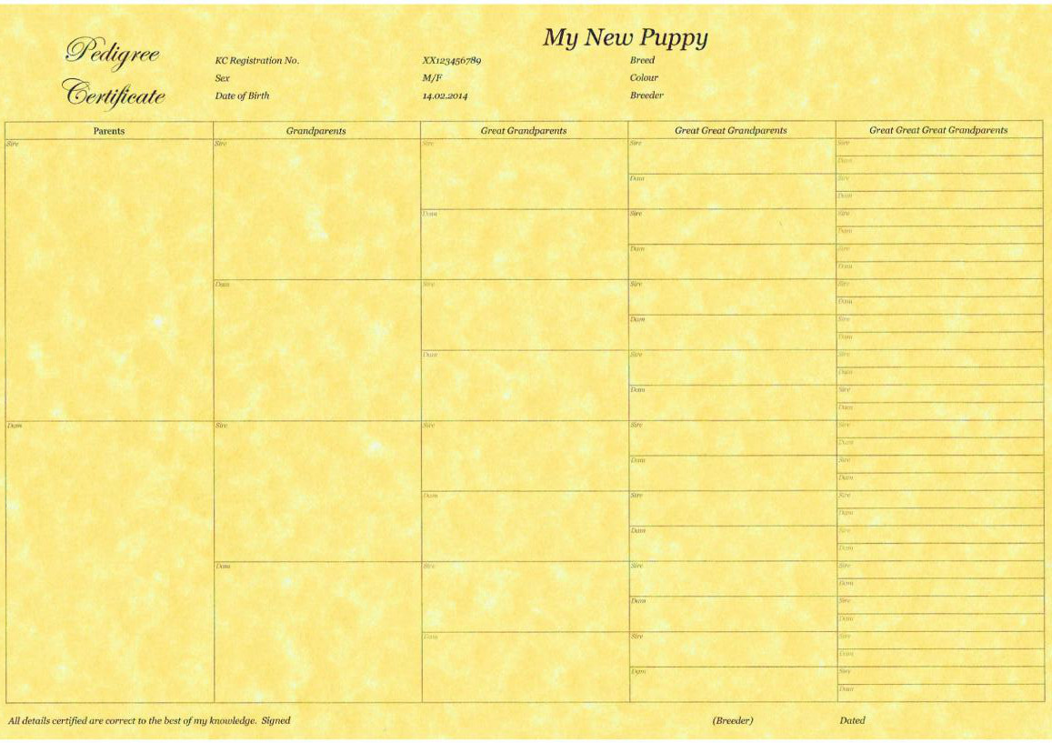 5 Generation Pedigree Form Certificate Printed on Quality Paper Puppy Breeder X6