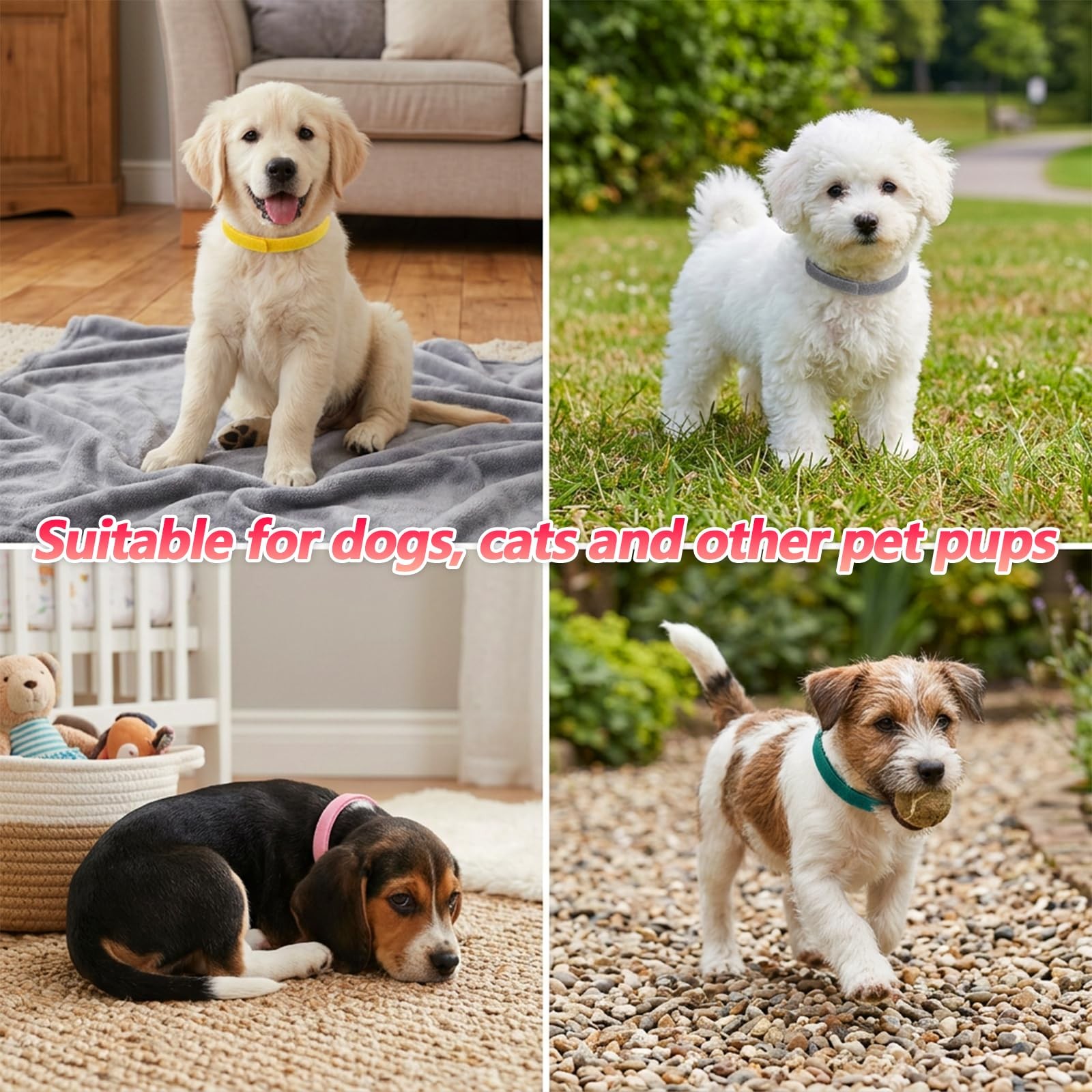30 Pcs Newborn Puppy Collars 11.81 Inch Puppy Whelping Collars Double-Sided S…
