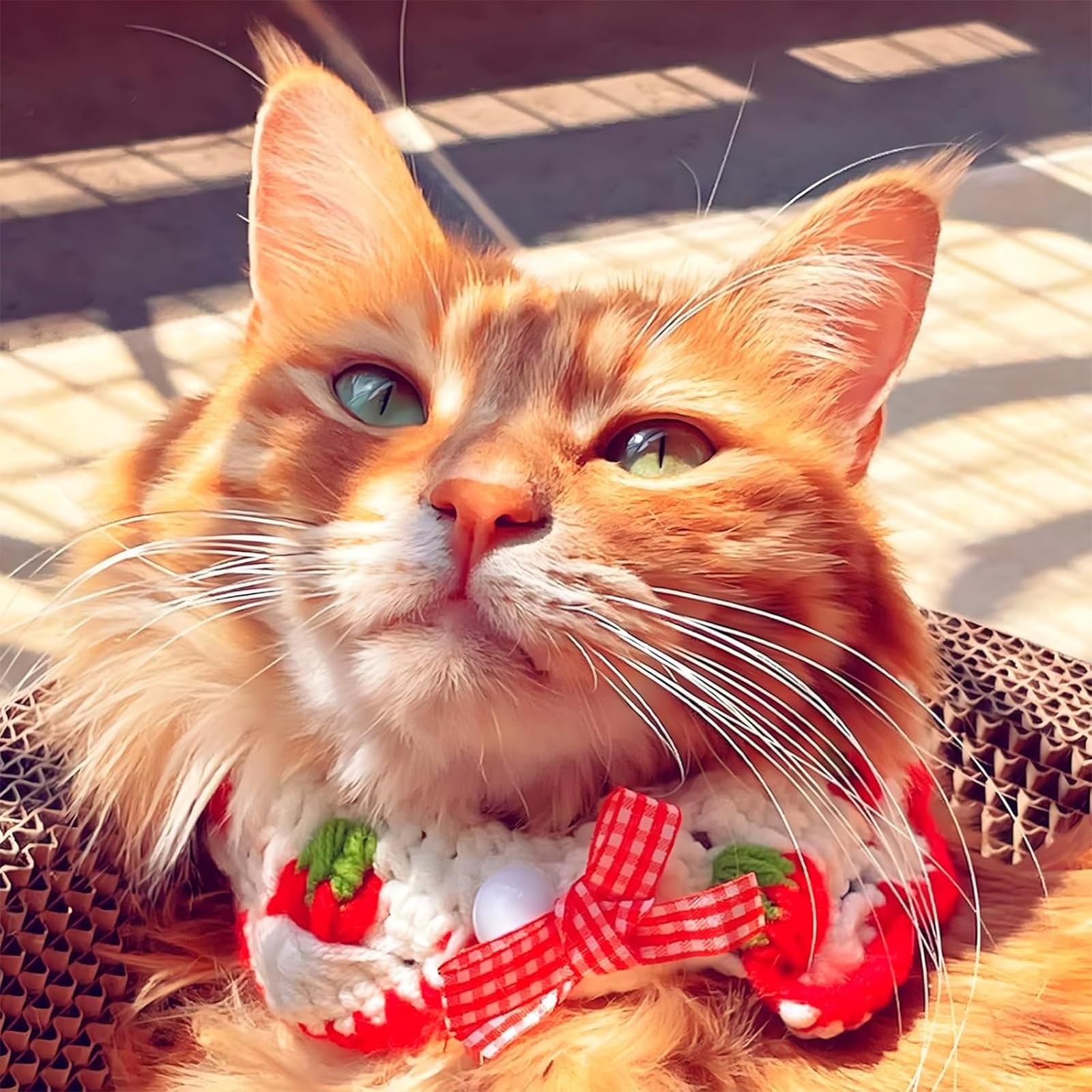 White Cat Kitten Collar Breakaway Cute Bow Tie Strawberry Pattern Neck 23 Inch