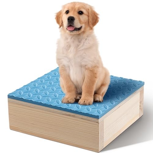 Dog Training Platform Non-Skid Surface Place 11.81 x 11.81 x 3.94 Inches