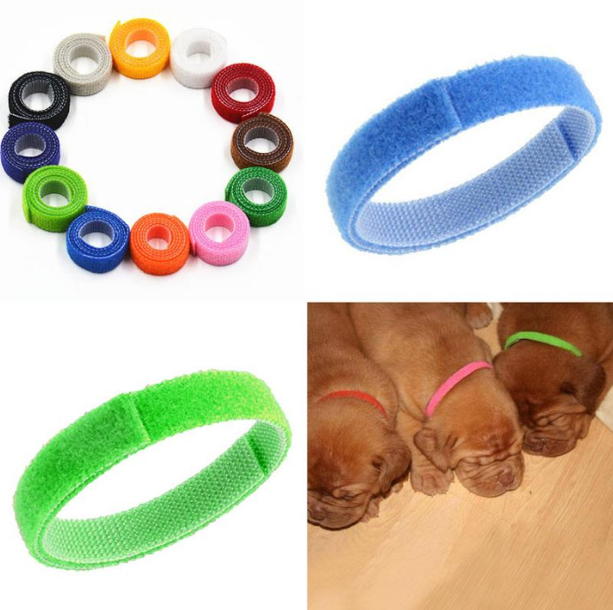 12Pcs Pet Cat Necklace Marking Birth Order Adjustable Puppy ID Collars Bands