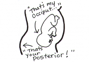 Can you change your babies position from ROP (Right Occiput Posterior ...